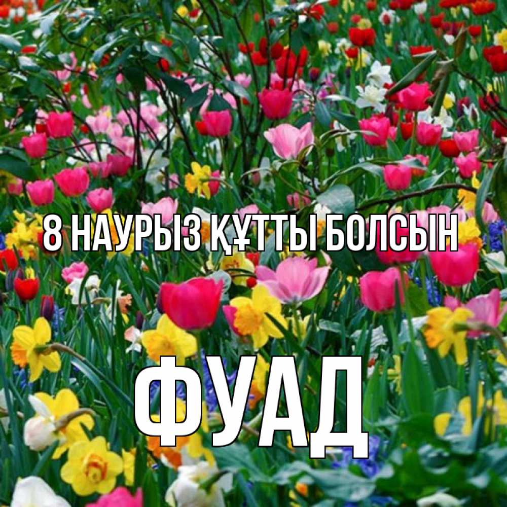 Күн сайын ашық хат с именем, Фуад 8 наурыз құтты болсын с международным женским днем поздравления для женщины Онлайн тегін жүктеп алу тілектері бар керемет карта 