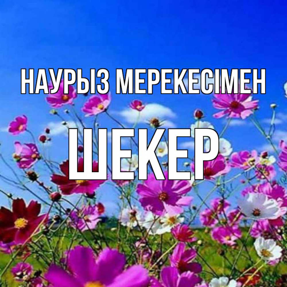Күн сайын ашық хат с именем, ШЕКЕР Наурыз мерекесімен цветы Онлайн тегін жүктеп алу тілектері бар керемет карта 