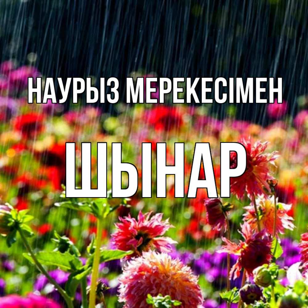 Күн сайын ашық хат с именем, ШЫНАР Наурыз мерекесімен цветы под дождиком к международному женскому дню Онлайн тегін жүктеп алу тілектері бар керемет карта 
