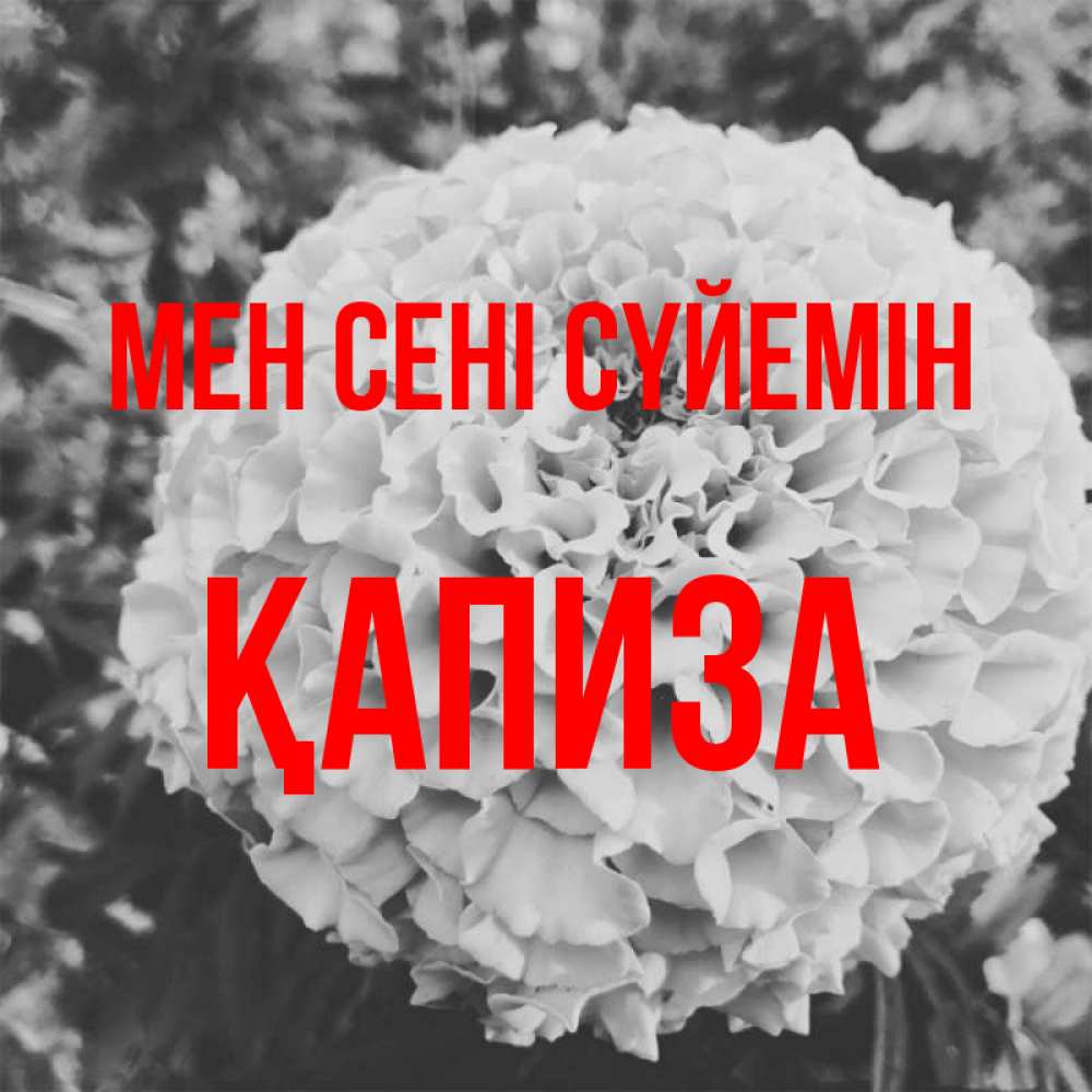 Күн сайын ашық хат с именем, ҚАПИЗА Мен сені сүйемін подпись Онлайн тегін жүктеп алу тілектері бар керемет карта 