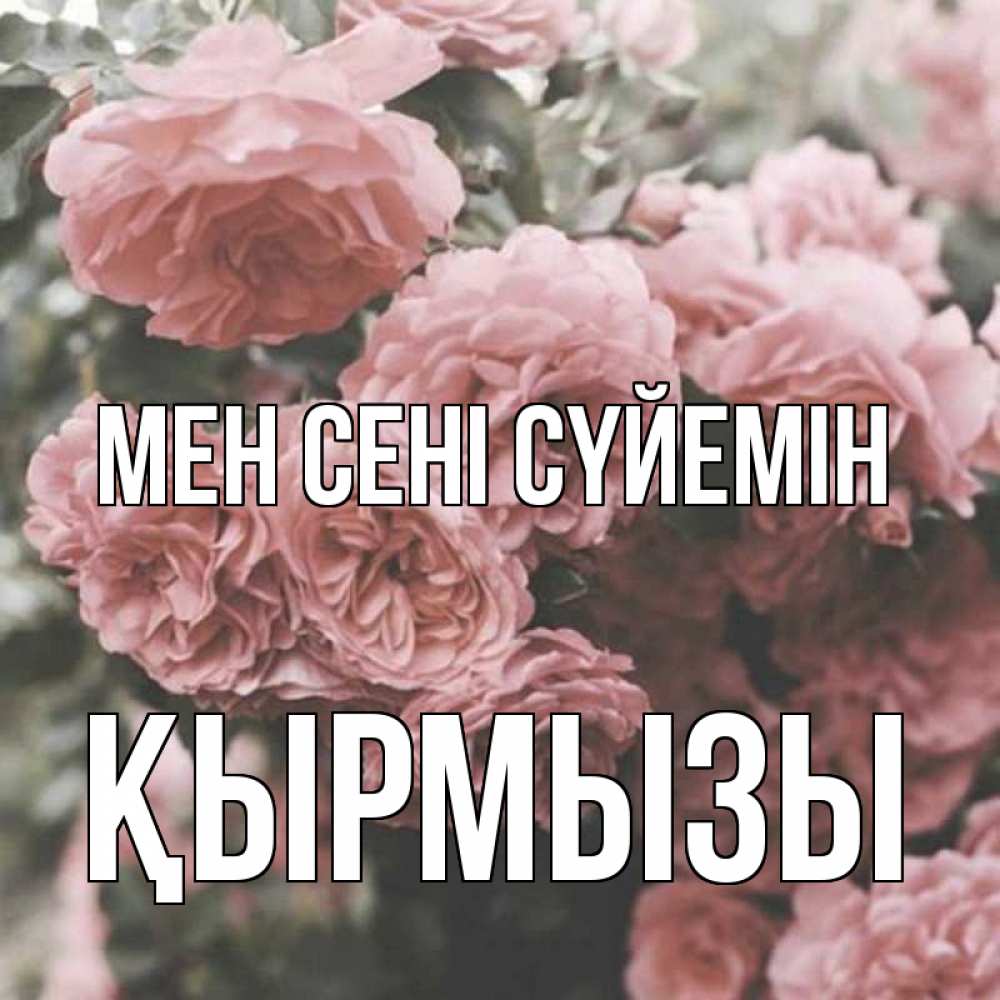 Күн сайын ашық хат с именем, ҚЫРМЫЗЫ Мен сені сүйемін розы 3 Онлайн тегін жүктеп алу тілектері бар керемет карта 