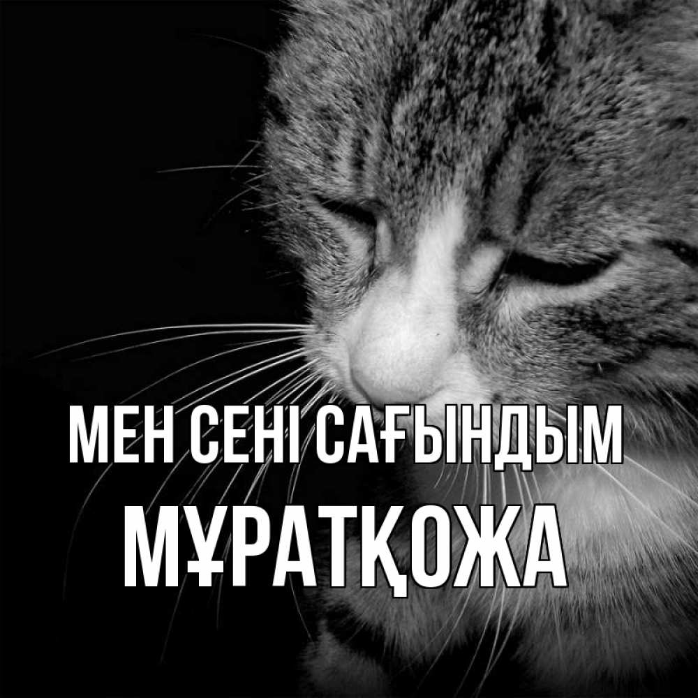 Күн сайын ашық хат с именем, Мұратқожа Мен сені сағындым мне скучно Онлайн тегін жүктеп алу тілектері бар керемет карта 