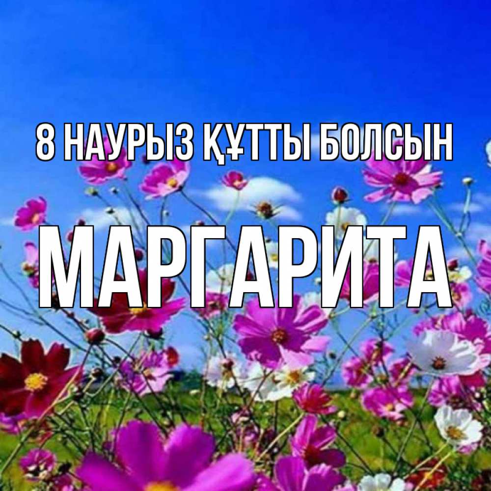 Күн сайын ашық хат с именем, Маргарита 8 наурыз құтты болсын цветы Онлайн тегін жүктеп алу тілектері бар керемет карта 
