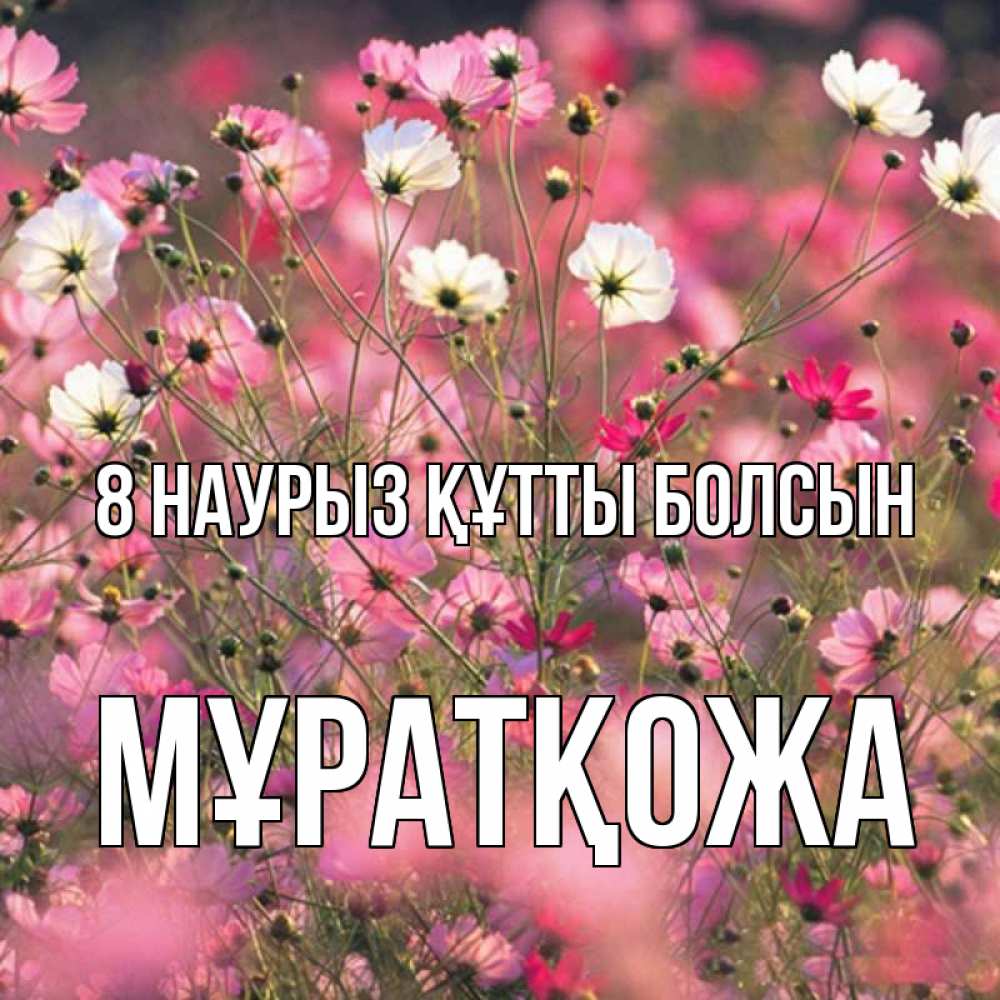 Күн сайын ашық хат с именем, Мұратқожа 8 наурыз құтты болсын красиво 1 Онлайн тегін жүктеп алу тілектері бар керемет карта 