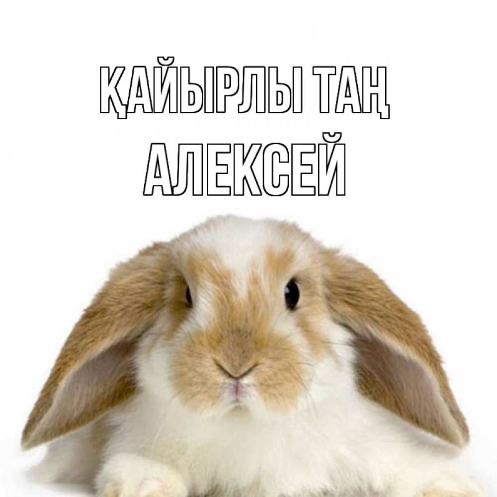 Күн сайын ашық хат с именем, Алексей Қайырлы таң прикольные открытки на каждый день Онлайн тегін жүктеп алу тілектері бар керемет карта 