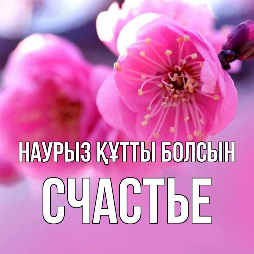 Күн сайын ашық хат с именем, Счастье Наурыз құтты болсын наурыз мейрам Онлайн тегін жүктеп алу тілектері бар керемет карта 