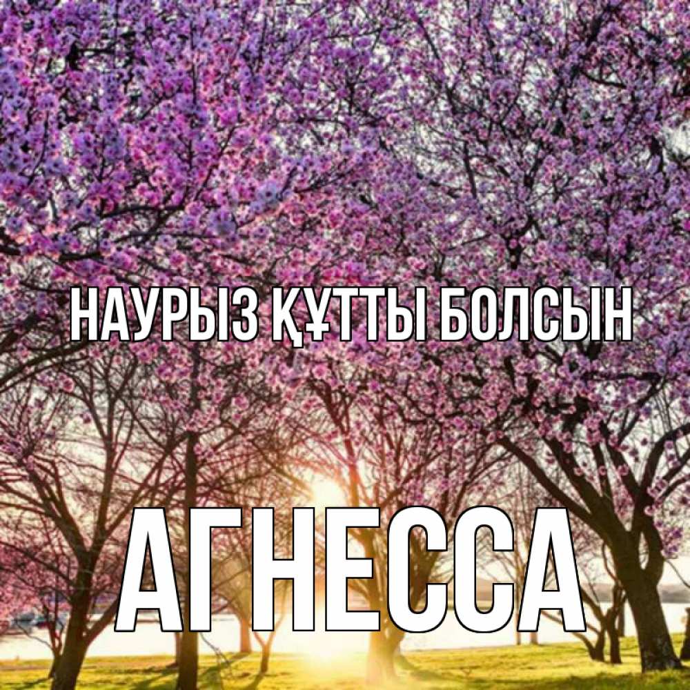 Күн сайын ашық хат с именем, Агнесса Наурыз құтты болсын наурыз Онлайн тегін жүктеп алу тілектері бар керемет карта 