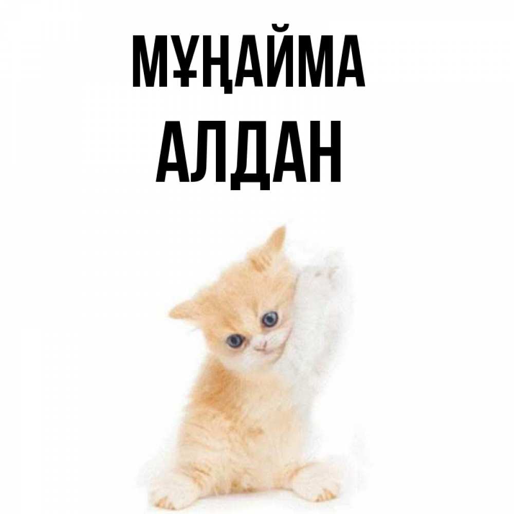 Күн сайын ашық хат с именем, Алдан Мұңайма просящий кот Онлайн тегін жүктеп алу тілектері бар керемет карта 