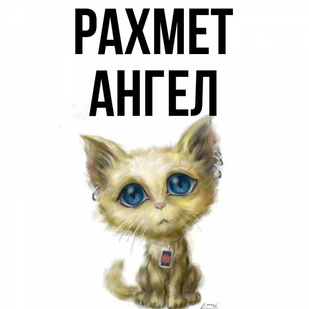 Күн сайын ашық хат с именем, Ангел рахмет рисованный кот благодарит вас Онлайн тегін жүктеп алу тілектері бар керемет карта 