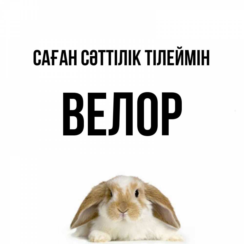 Күн сайын ашық хат с именем, Велор Саған сәттілік тілеймін открытки с произвольным текстом который можно вставить в открытку и создать ее самостоятельно бесплатно онлайн Онлайн тегін жүктеп алу тілектері бар керемет карта 