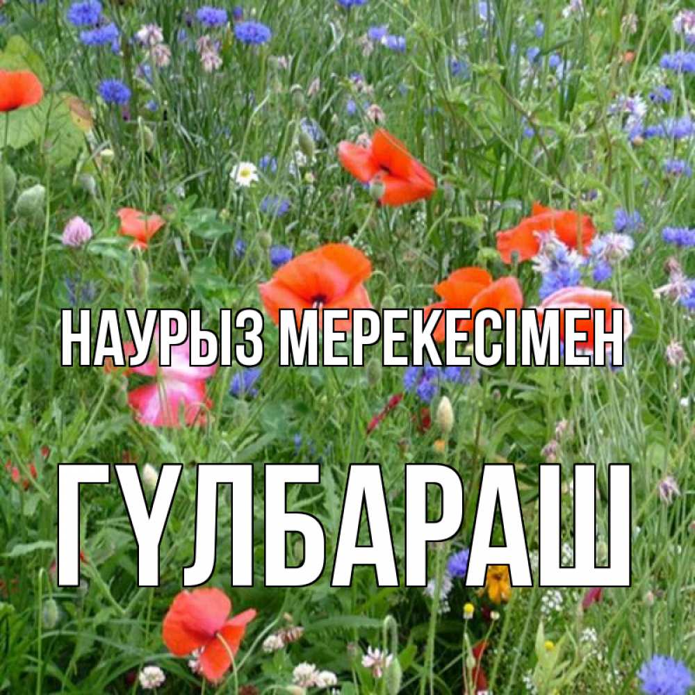 Күн сайын ашық хат с именем, ГҮЛБАРАШ Наурыз мерекесімен праздник весны наурыз супер открытка Онлайн тегін жүктеп алу тілектері бар керемет карта 