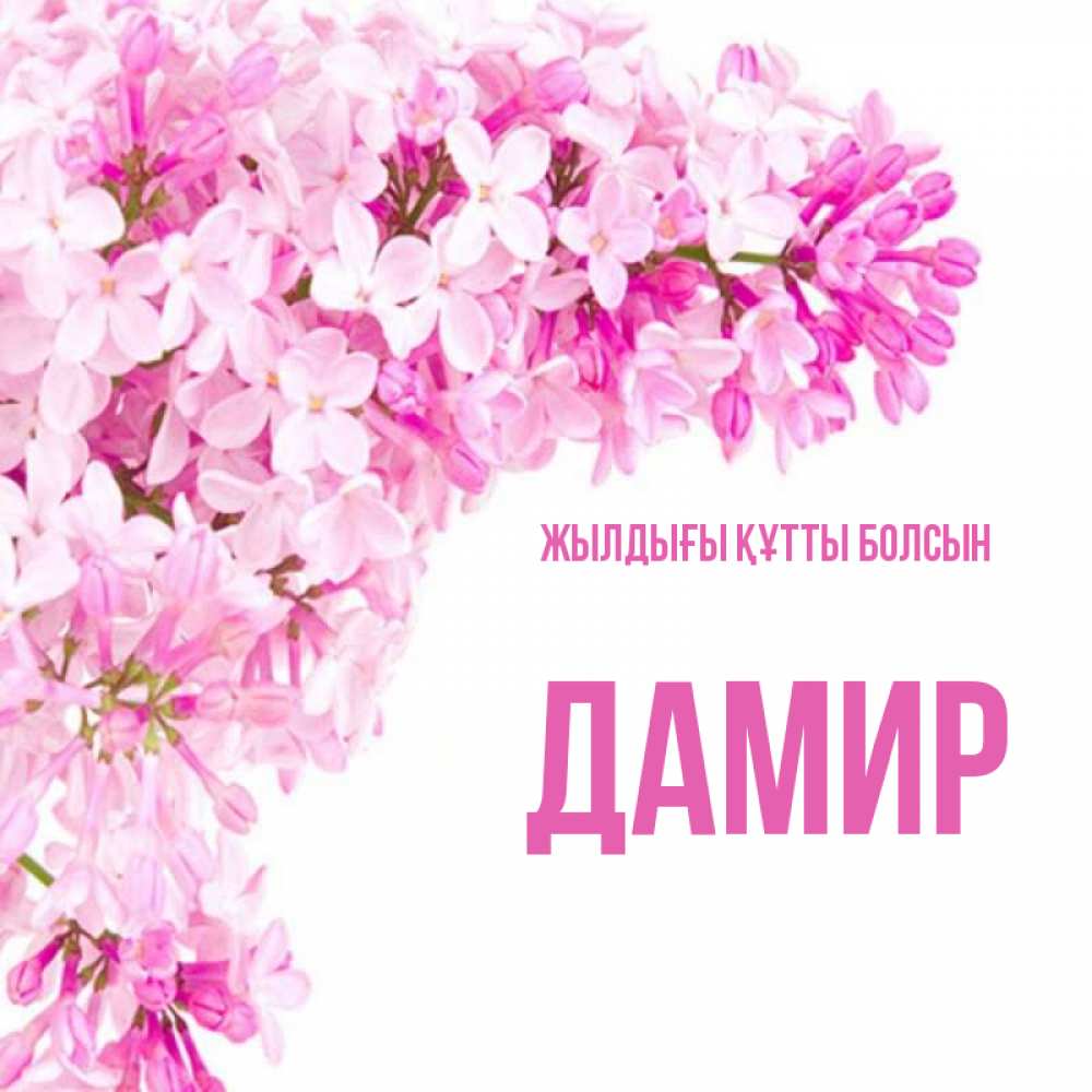 Күн сайын ашық хат с именем, Дамир Жылдығы құтты болсын Сирень на белом фоне Онлайн тегін жүктеп алу тілектері бар керемет карта 