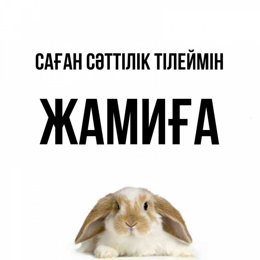 Күн сайын ашық хат с именем, ЖАМИҒА Саған сәттілік тілеймін открытки с произвольным текстом который можно вставить в открытку и создать ее самостоятельно бесплатно онлайн Онлайн тегін жүктеп алу тілектері бар керемет карта 