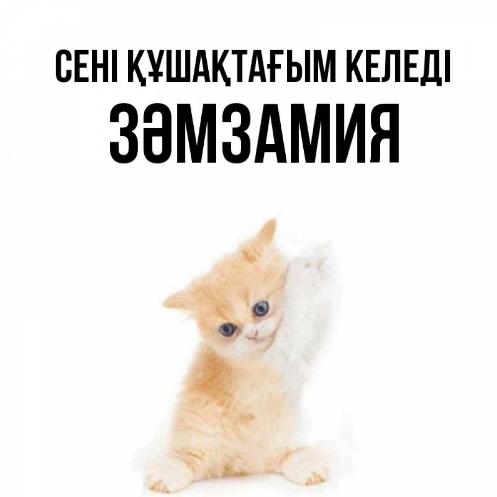 Күн сайын ашық хат с именем, ЗӘМЗАМИЯ сені құшақтағым келеді я хочу очень скорее обнимаешек Онлайн тегін жүктеп алу тілектері бар керемет карта 
