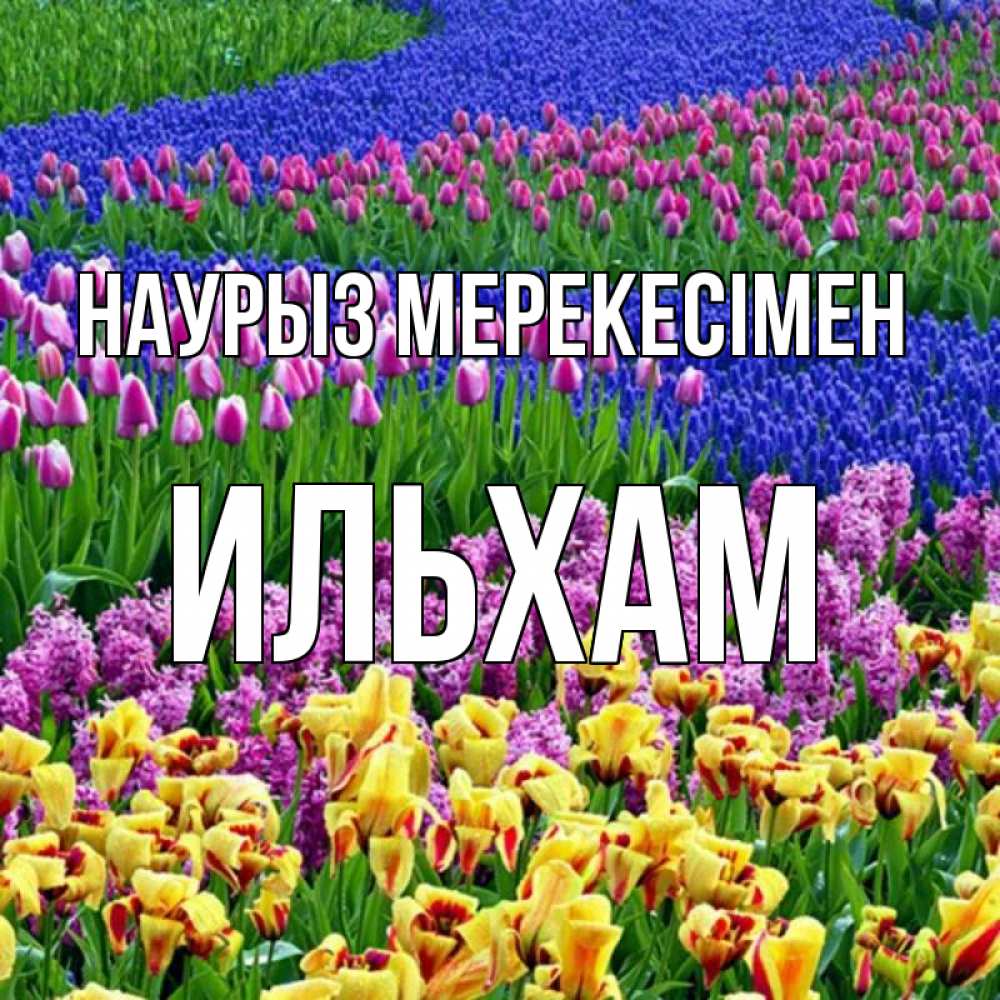 Күн сайын ашық хат с именем, Ильхам Наурыз мерекесімен цветы Онлайн тегін жүктеп алу тілектері бар керемет карта 