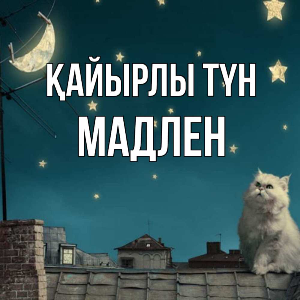 Күн сайын ашық хат с именем, Мадлен Қайырлы түн белый кот сидит на крыше Онлайн тегін жүктеп алу тілектері бар керемет карта 