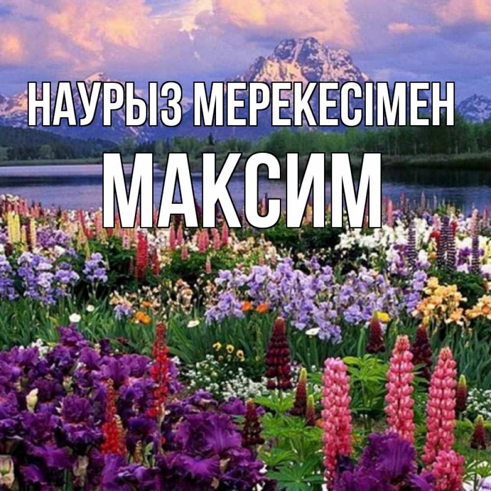 Күн сайын ашық хат с именем, Максим Наурыз мерекесімен праздник весны наурыз Онлайн тегін жүктеп алу тілектері бар керемет карта 
