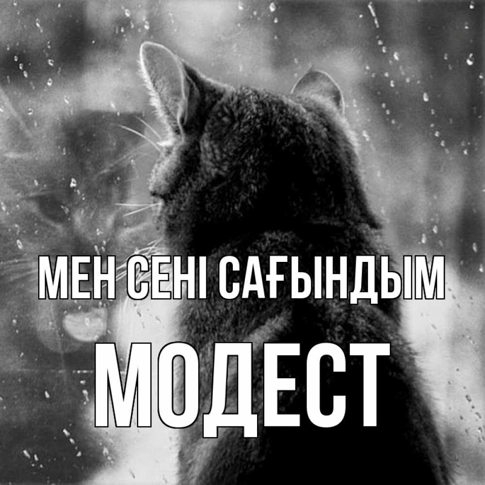 Күн сайын ашық хат с именем, Модест Мен сені сағындым скорее ко мне приходи 1 Онлайн тегін жүктеп алу тілектері бар керемет карта 