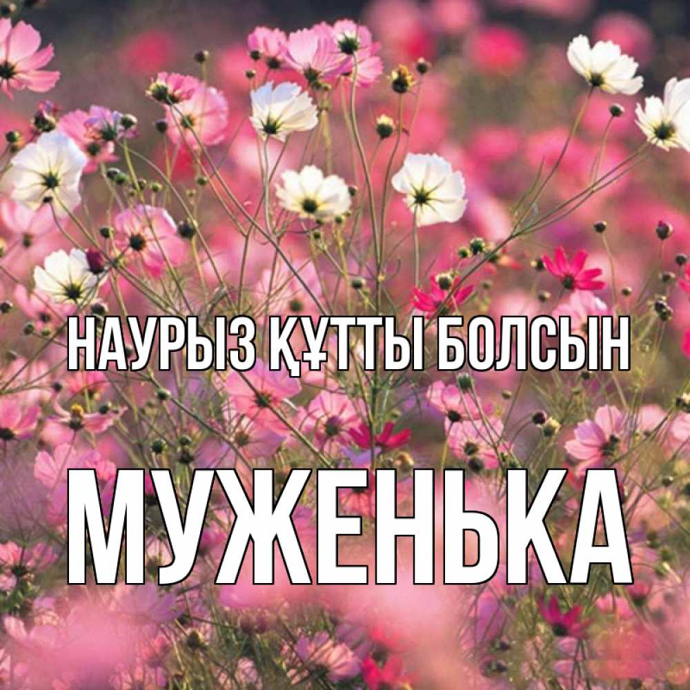 Күн сайын ашық хат с именем, Муженька Наурыз құтты болсын красиво 1 Онлайн тегін жүктеп алу тілектері бар керемет карта 