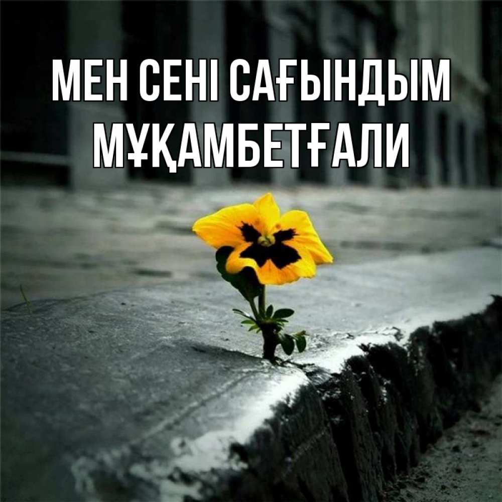Күн сайын ашық хат с именем, Мұқамбетғали Мен сені сағындым надеюсь будет лучше Онлайн тегін жүктеп алу тілектері бар керемет карта 