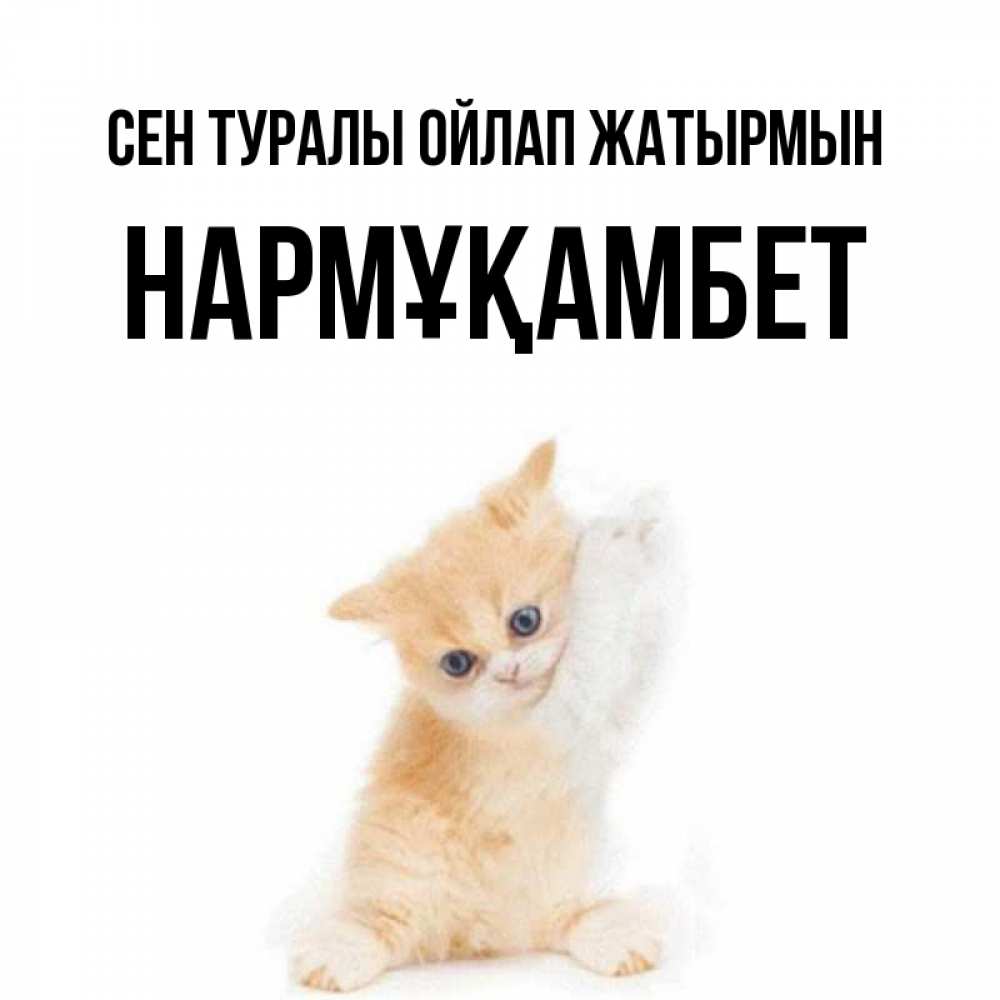 Күн сайын ашық хат с именем, НАРМҰҚАМБЕТ Сен туралы ойлап жатырмын зверушки и милота Онлайн тегін жүктеп алу тілектері бар керемет карта 