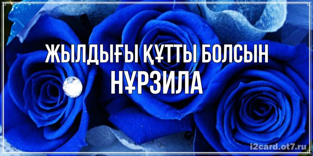 Күн сайын ашық хат с именем, НҰРЗИЛА Жылдығы құтты болсын синие розы в росе Онлайн тегін жүктеп алу тілектері бар керемет карта 