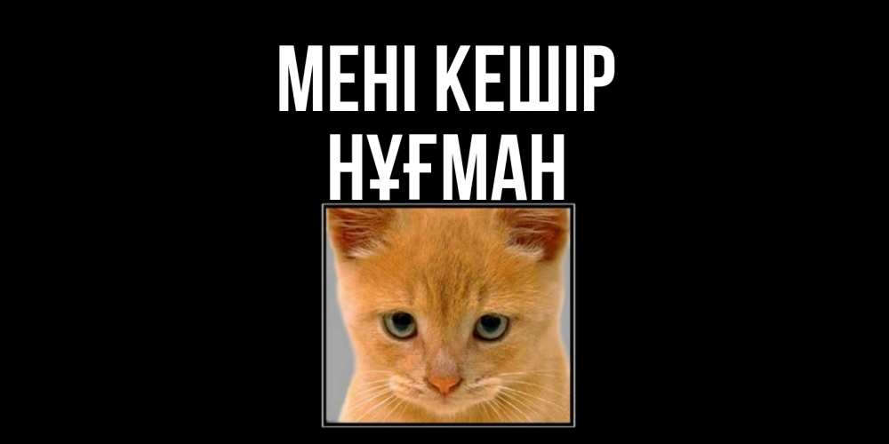 Күн сайын ашық хат с именем, НҰҒМАН Мені кешір рыжий грустный кот просит прощения Онлайн тегін жүктеп алу тілектері бар керемет карта 
