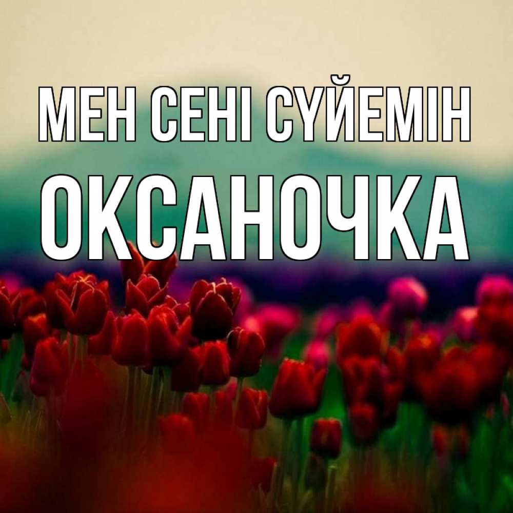 Күн сайын ашық хат с именем, Оксаночка Мен сені сүйемін тюльпаны 4 Онлайн тегін жүктеп алу тілектері бар керемет карта 