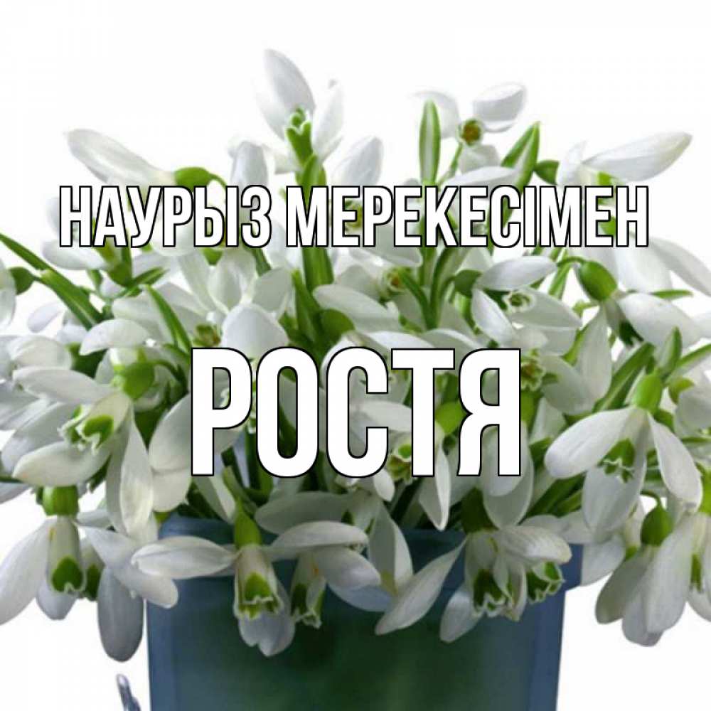 Күн сайын ашық хат с именем, Ростя Наурыз мерекесімен цветы к наурызу новый год в Казахстане Онлайн тегін жүктеп алу тілектері бар керемет карта 