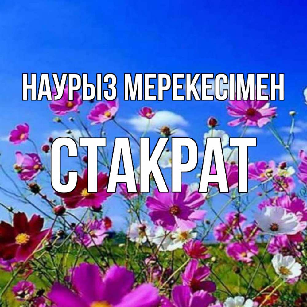 Күн сайын ашық хат с именем, Стакрат Наурыз мерекесімен цветы Онлайн тегін жүктеп алу тілектері бар керемет карта 