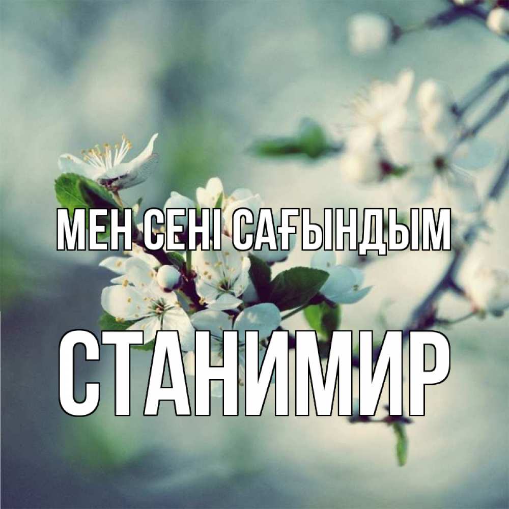 Күн сайын ашық хат с именем, Станимир Мен сені сағындым весна Онлайн тегін жүктеп алу тілектері бар керемет карта 