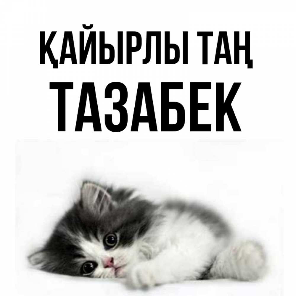 Күн сайын ашық хат с именем, ТАЗАБЕК Қайырлы таң кот лапки Онлайн тегін жүктеп алу тілектері бар керемет карта 