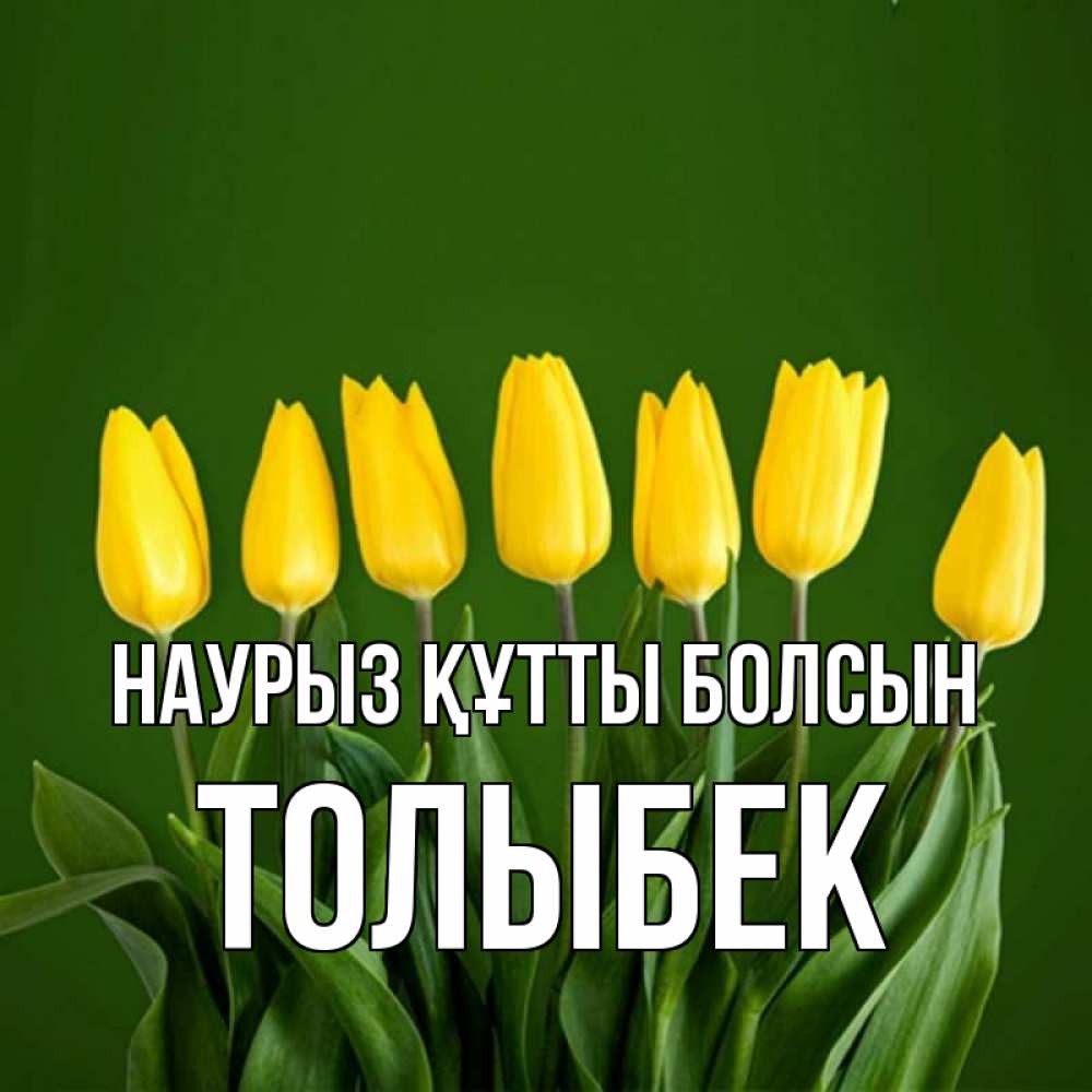 Күн сайын ашық хат с именем, ТОЛЫБЕК Наурыз құтты болсын желтого цвета 3 Онлайн тегін жүктеп алу тілектері бар керемет карта 