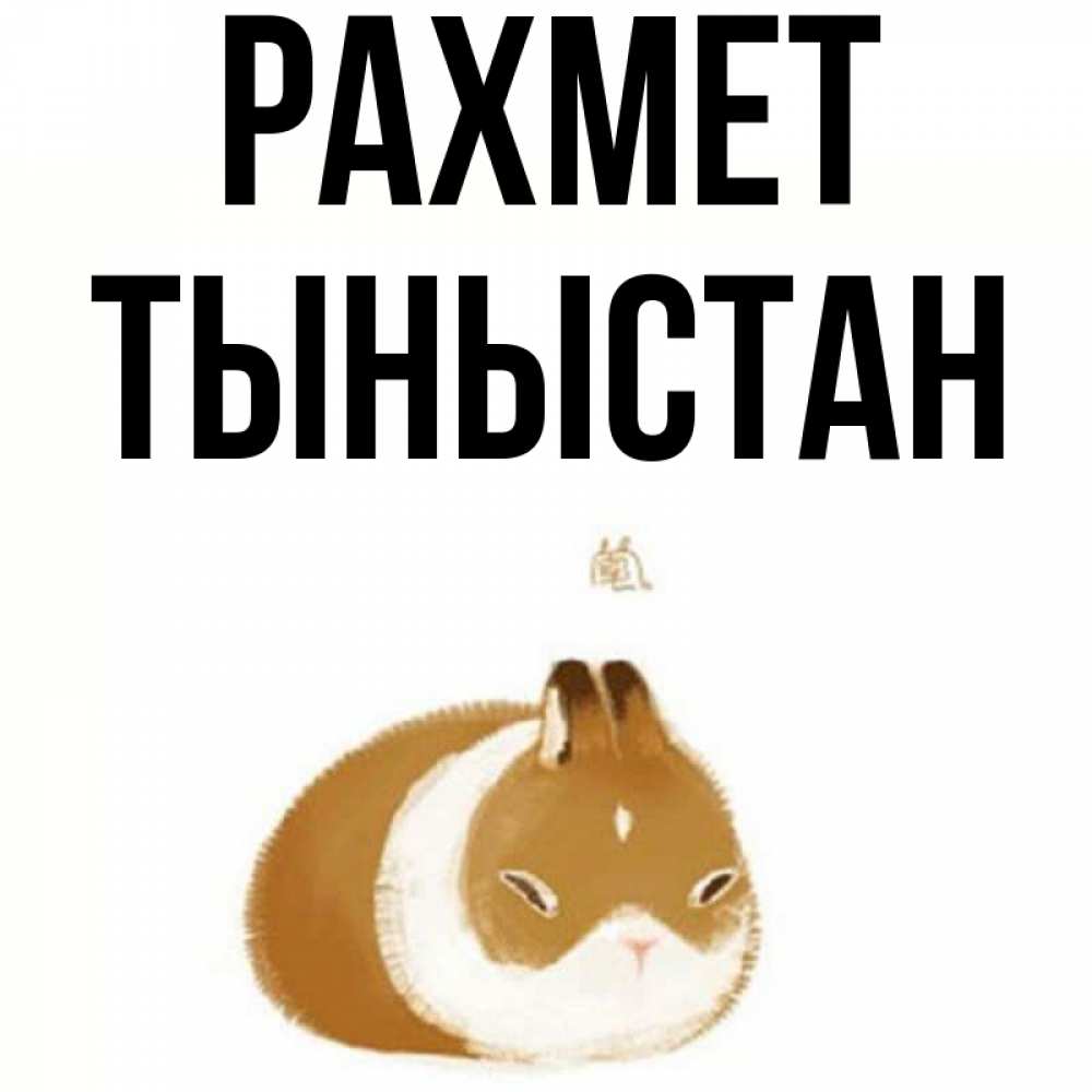 Күн сайын ашық хат с именем, ТЫНЫСТАН рахмет коричнево белый домашний питомец Онлайн тегін жүктеп алу тілектері бар керемет карта 