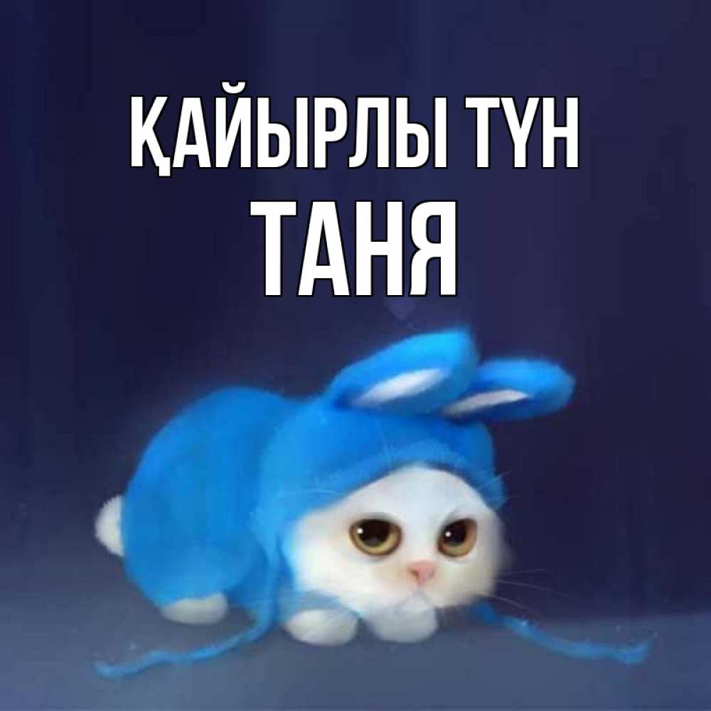 Күн сайын ашық хат с именем, Таня Қайырлы түн кот в голубом костюме кролика с ушками Онлайн тегін жүктеп алу тілектері бар керемет карта 