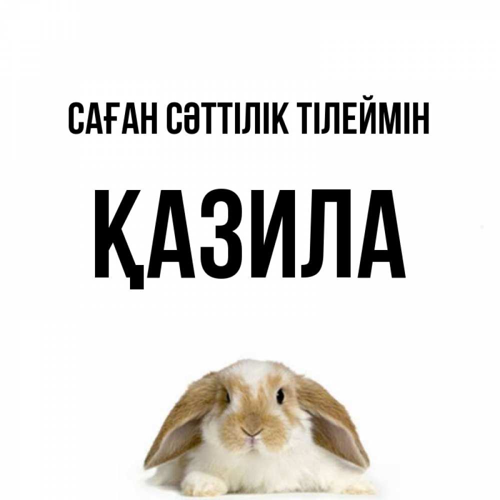 Күн сайын ашық хат с именем, ҚАЗИЛА Саған сәттілік тілеймін открытки с произвольным текстом который можно вставить в открытку и создать ее самостоятельно бесплатно онлайн Онлайн тегін жүктеп алу тілектері бар керемет карта 