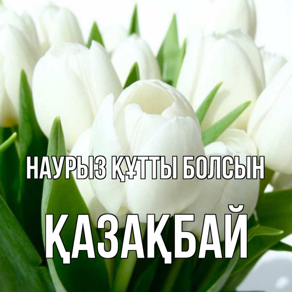 Күн сайын ашық хат с именем, Қазақбай Наурыз құтты болсын цветы Онлайн тегін жүктеп алу тілектері бар керемет карта 