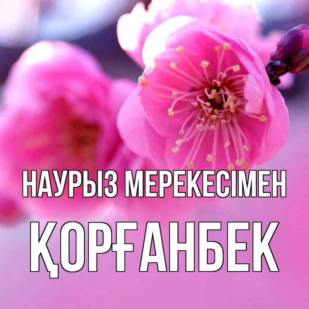 Күн сайын ашық хат с именем, Қорғанбек Наурыз мерекесімен международный женский день Онлайн тегін жүктеп алу тілектері бар керемет карта 