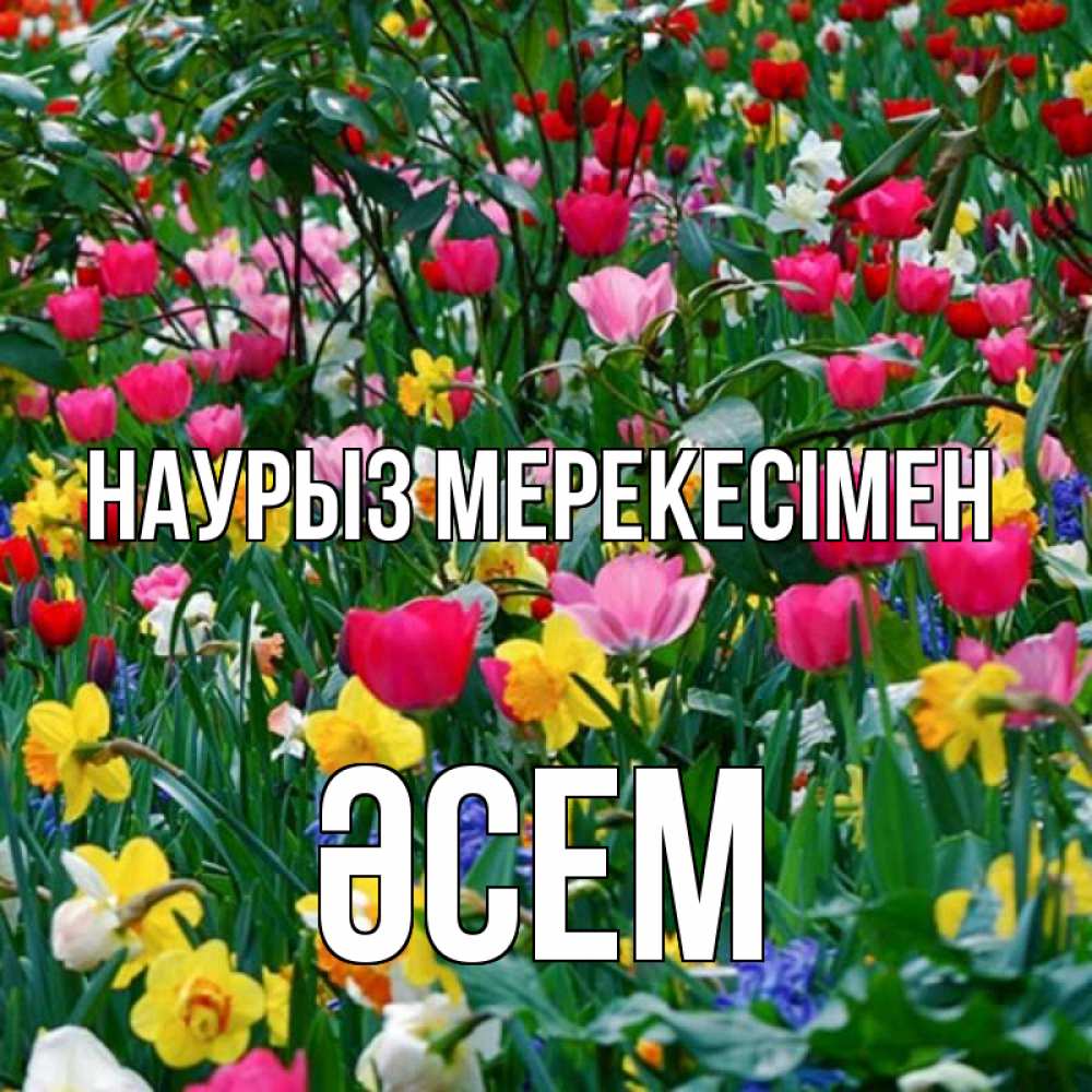Күн сайын ашық хат с именем, ӘСЕМ Наурыз мерекесімен с наурызом праздником весны поздравления для женщины Онлайн тегін жүктеп алу тілектері бар керемет карта 