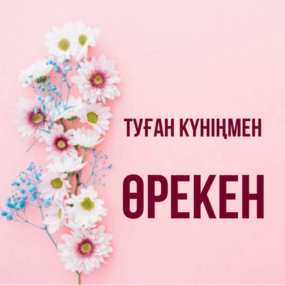 Күн сайын ашық хат с именем, ӨРЕКЕН Туған күніңмен Родная моя с днем рождения тебя картинка с цветами белыми и голубыми Онлайн тегін жүктеп алу тілектері бар керемет карта 
