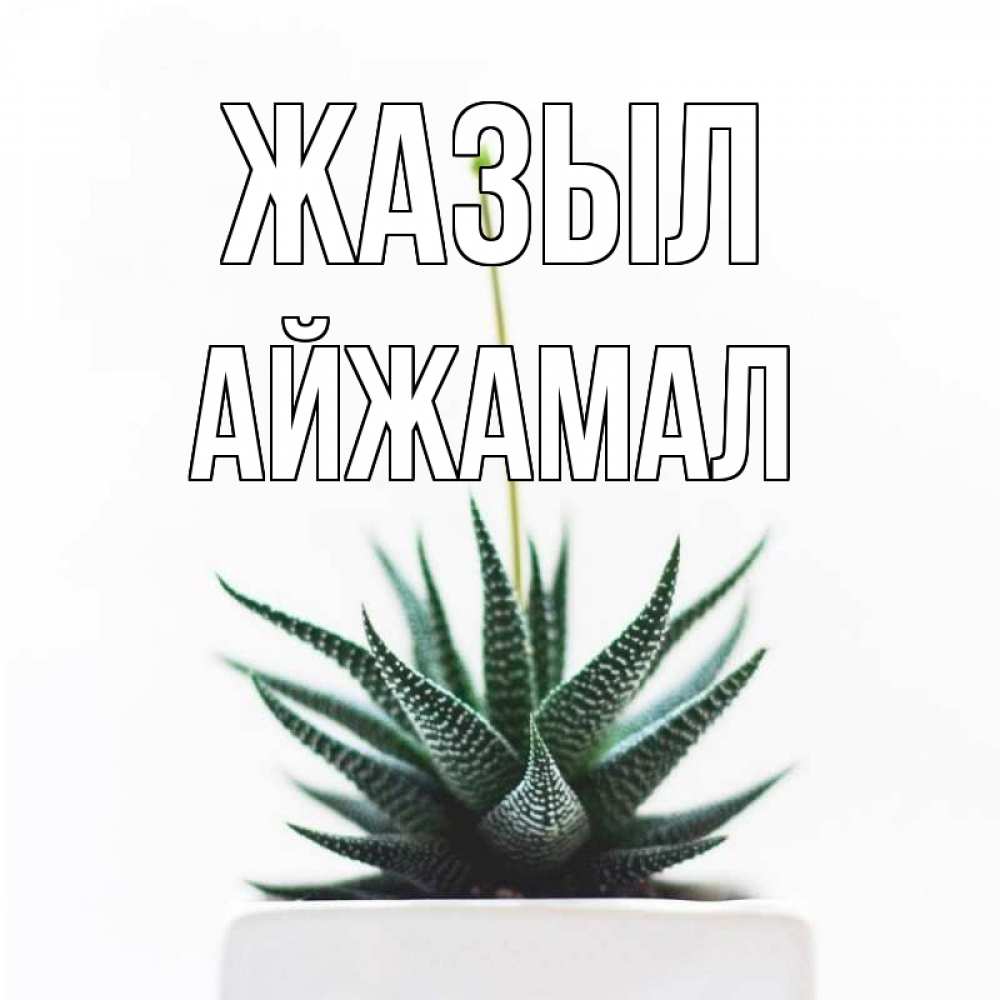Күн сайын ашық хат с именем, АЙЖАМАЛ Жазыл короче это непонятная колючка Онлайн тегін жүктеп алу тілектері бар керемет карта 