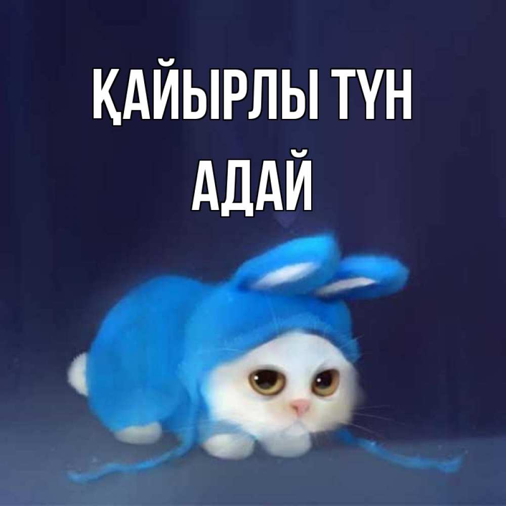 Күн сайын ашық хат с именем, Адай Қайырлы түн кот в голубом костюме кролика с ушками Онлайн тегін жүктеп алу тілектері бар керемет карта 