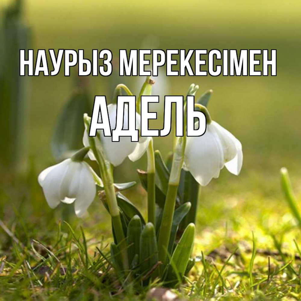 Күн сайын ашық хат с именем, Адель Наурыз мерекесімен ранние цветы 2 Онлайн тегін жүктеп алу тілектері бар керемет карта 