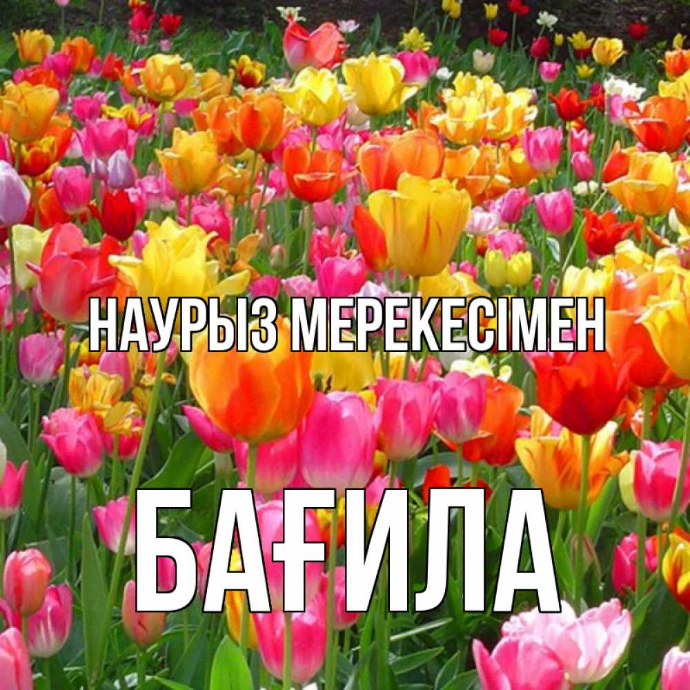 Күн сайын ашық хат с именем, БАҒИЛА Наурыз мерекесімен праздник весны наурыз 4 Онлайн тегін жүктеп алу тілектері бар керемет карта 