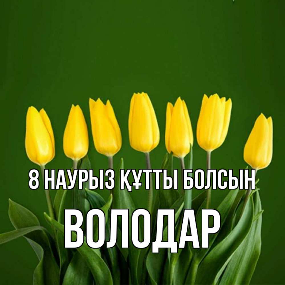 Күн сайын ашық хат с именем, Володар 8 наурыз құтты болсын желтого цвета 3 Онлайн тегін жүктеп алу тілектері бар керемет карта 
