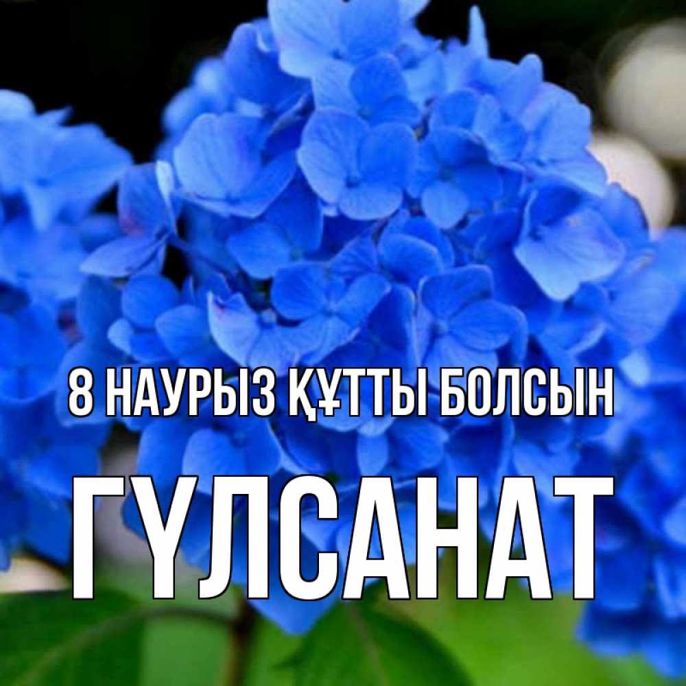 Күн сайын ашық хат с именем, ГҮЛСАНАТ 8 наурыз құтты болсын синие цветы Онлайн тегін жүктеп алу тілектері бар керемет карта 