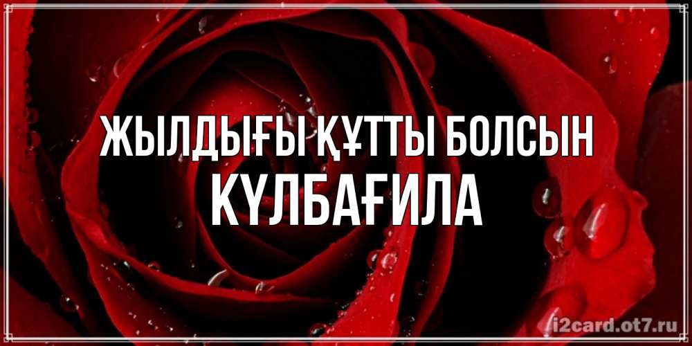 Күн сайын ашық хат с именем, КҮЛБАҒИЛА Жылдығы құтты болсын крупная бордовая роза Онлайн тегін жүктеп алу тілектері бар керемет карта 
