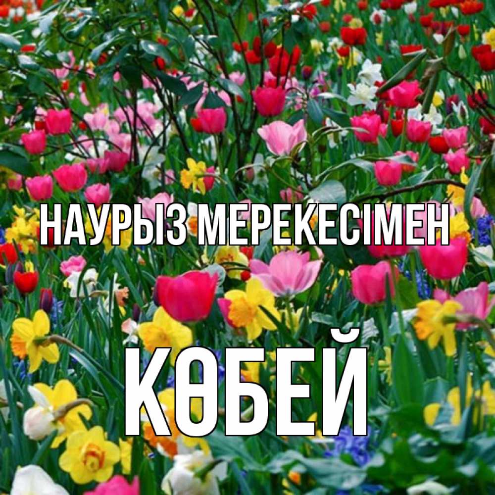 Күн сайын ашық хат с именем, Көбей Наурыз мерекесімен с наурызом праздником весны поздравления для женщины Онлайн тегін жүктеп алу тілектері бар керемет карта 
