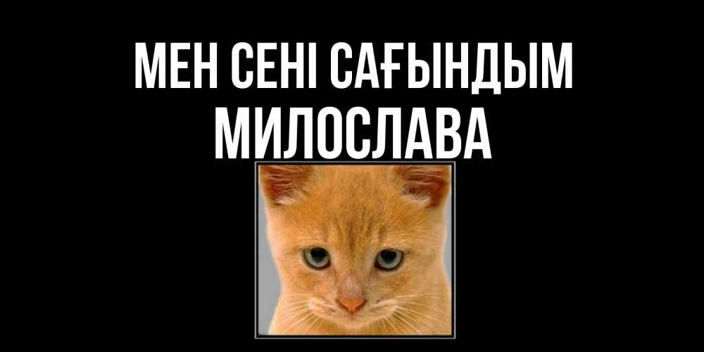 Күн сайын ашық хат с именем, Милослава Мен сені сағындым открытки рыжий котенок скучает по тебе Онлайн тегін жүктеп алу тілектері бар керемет карта 