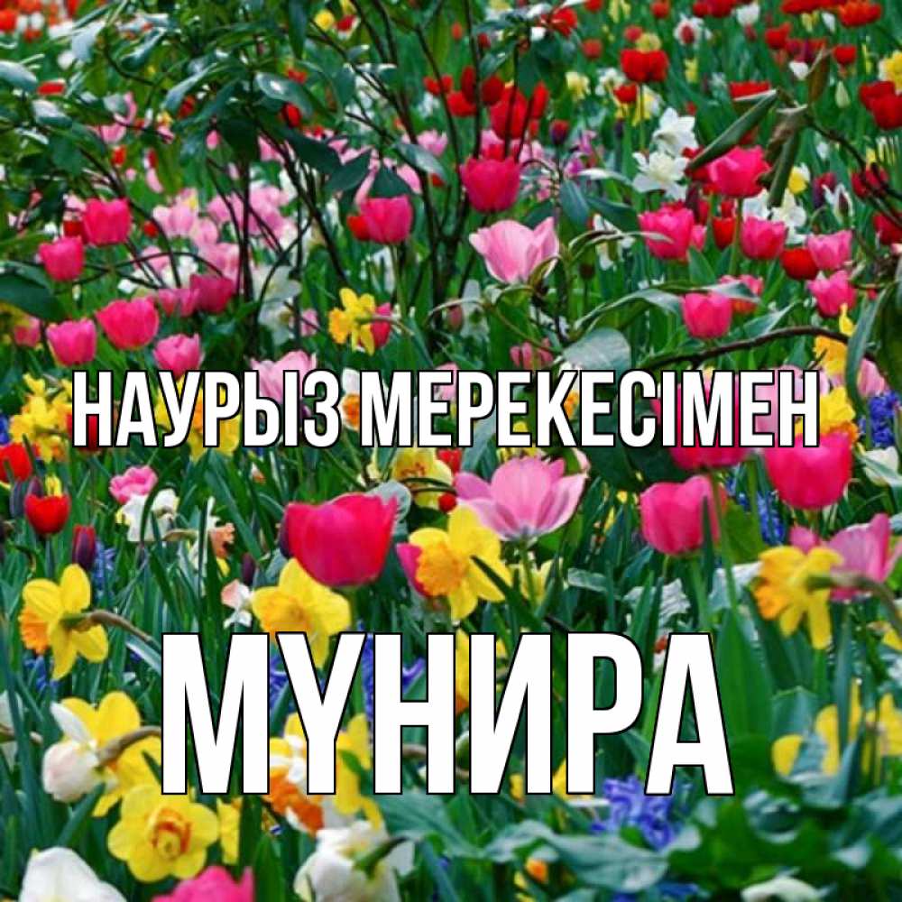 Күн сайын ашық хат с именем, МҮНИРА Наурыз мерекесімен с наурызом праздником весны поздравления для женщины Онлайн тегін жүктеп алу тілектері бар керемет карта 